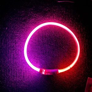 Rechargeable Glow in the Dark Collars
